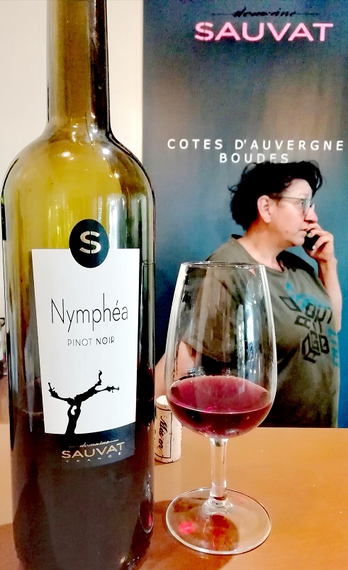 Le vin d’Annie Sauvat : in vino veritas