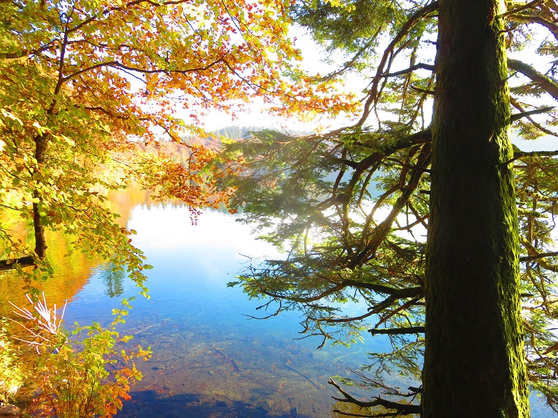 Lac Pavin
