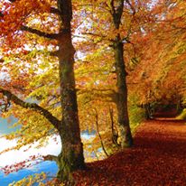 lacs d'Auvergne