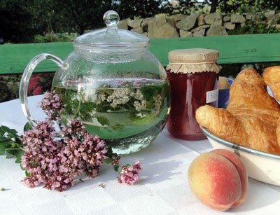 tisane bio combrailles