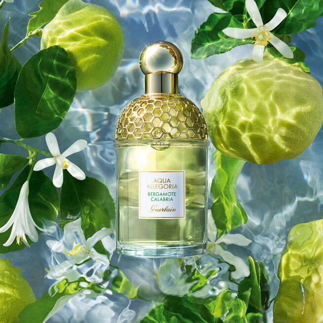 Marionnaud Issoire -Thiers - Clermont Ferrand - Aurillac  92€ 75ml​