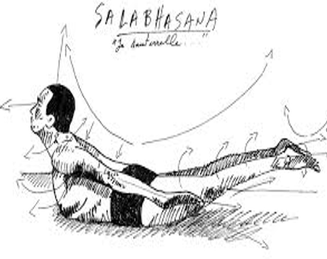 La sauterelle/Salabhasana