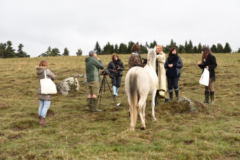 Crédit Photo : Nicolas Bachelet