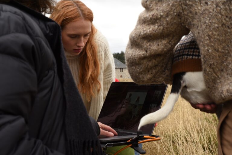 Crédit photo : Nicolas Bachelet