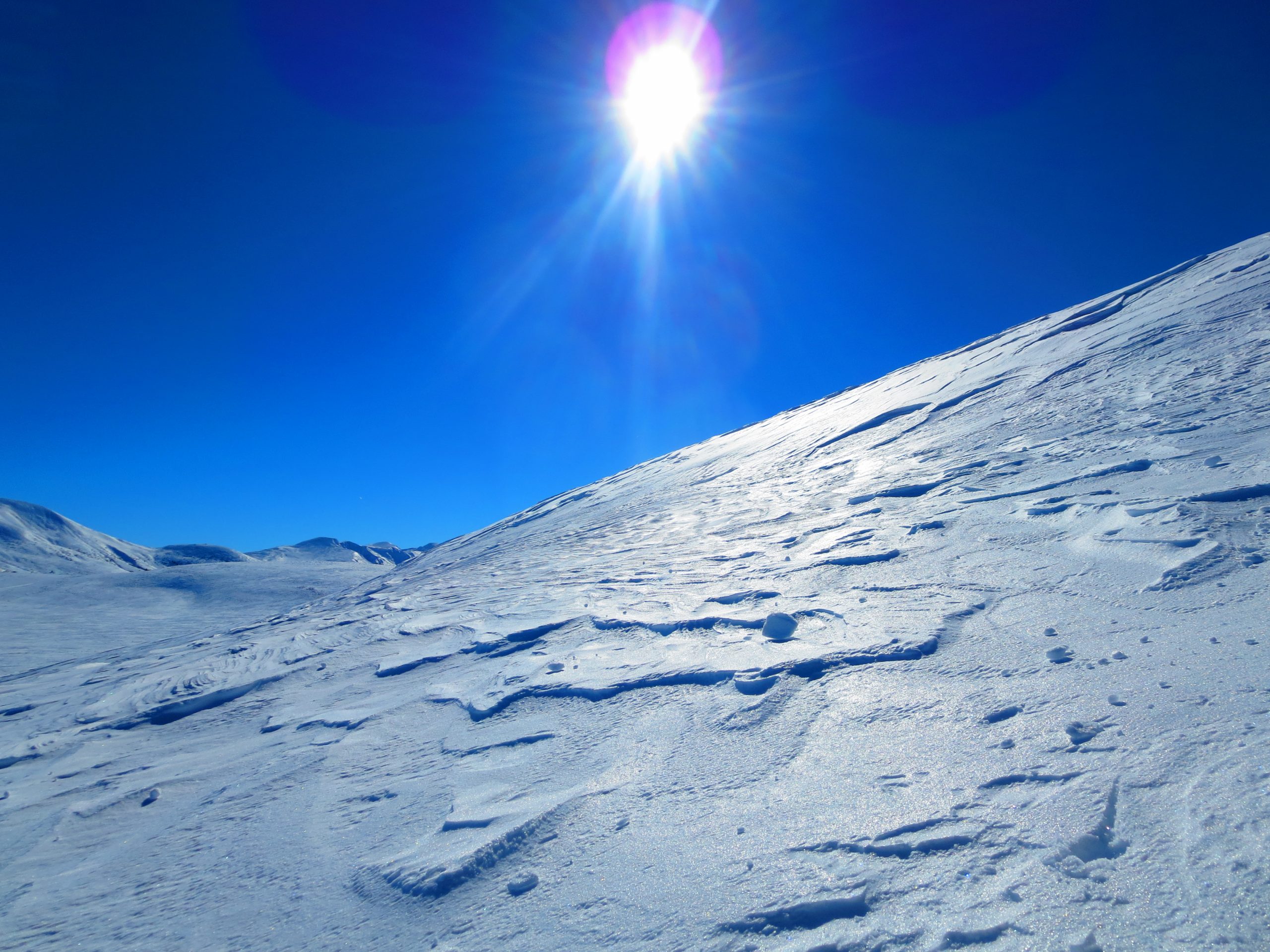 Le plateau du Guéry : balade en raquettes dans l’immensité blanche