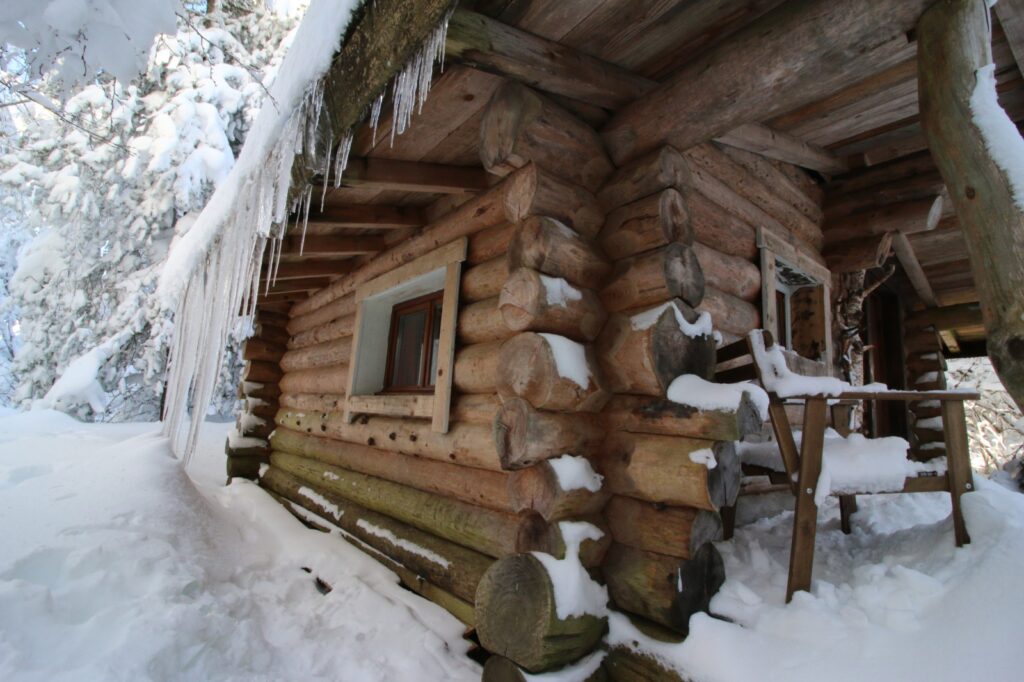 L’esprit du cabanage en forêt !