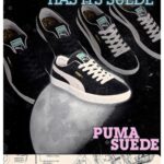 Puma Suede