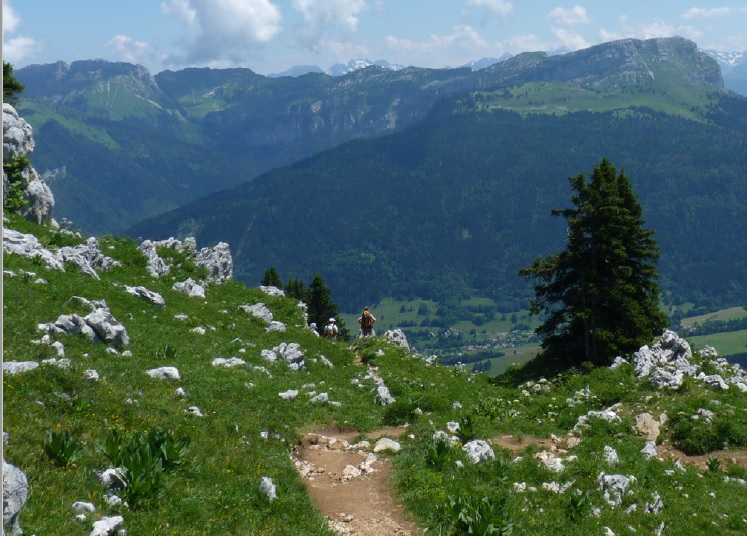 Douceur Cerise: L’essentiel des Alpes