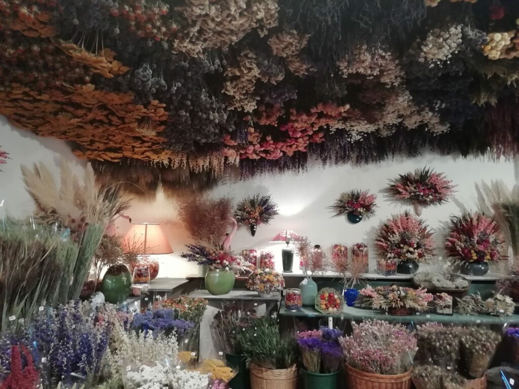 Les fleurs séchées de Bayet (63)