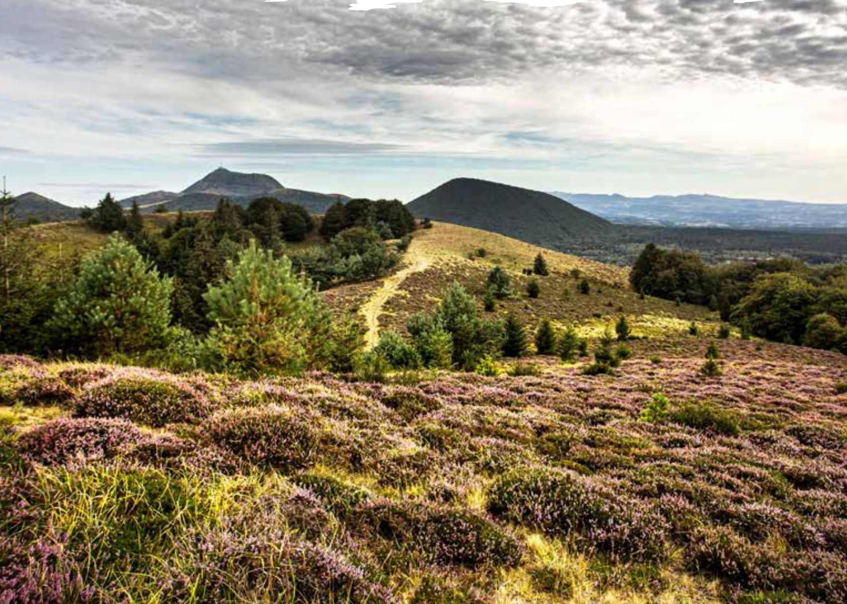 Terra Volcana : Entre culture, sport et volcans