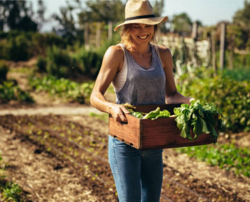 Des légumes dans nos cosmétiques !