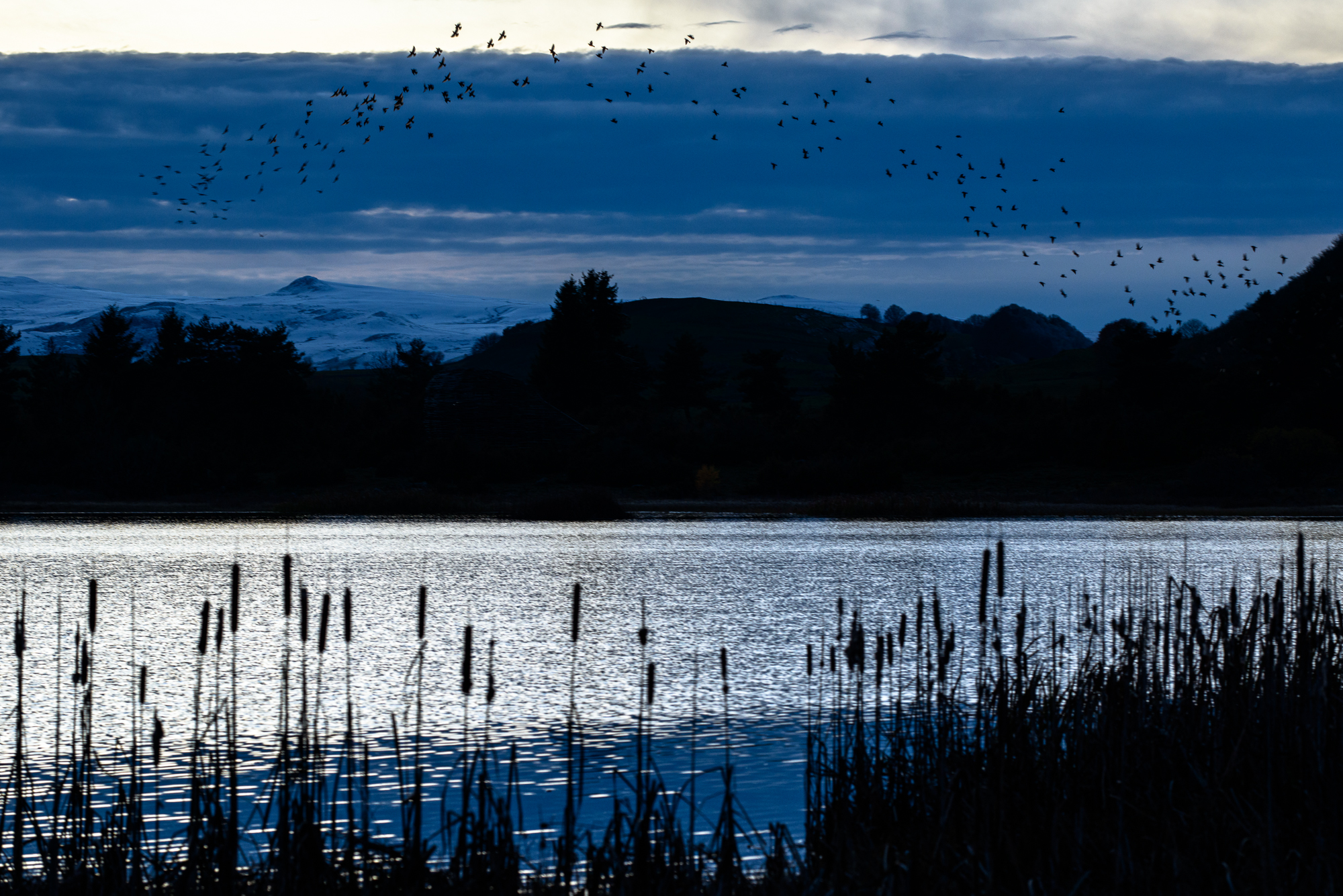 De la résidence d’artistes à la rencontre naturaliste