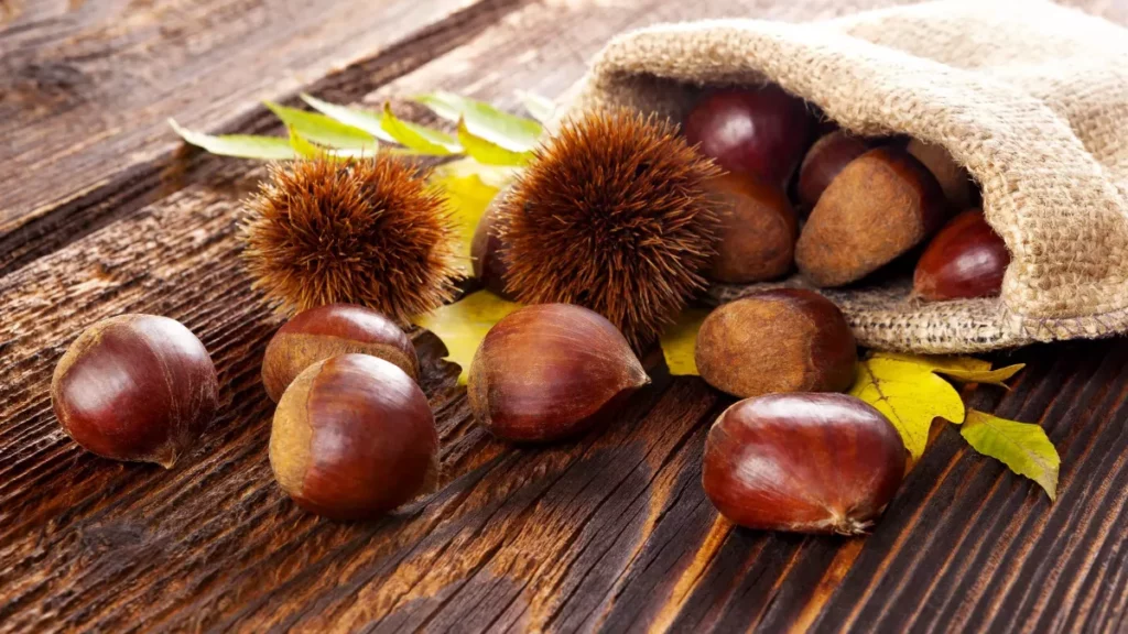 Crème de marron ou châtaigne de quoi en perdre la bogue !