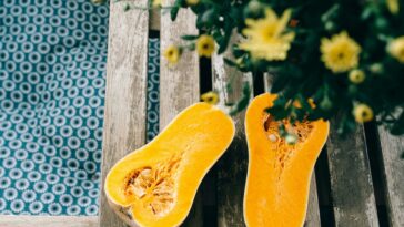 courge butternut