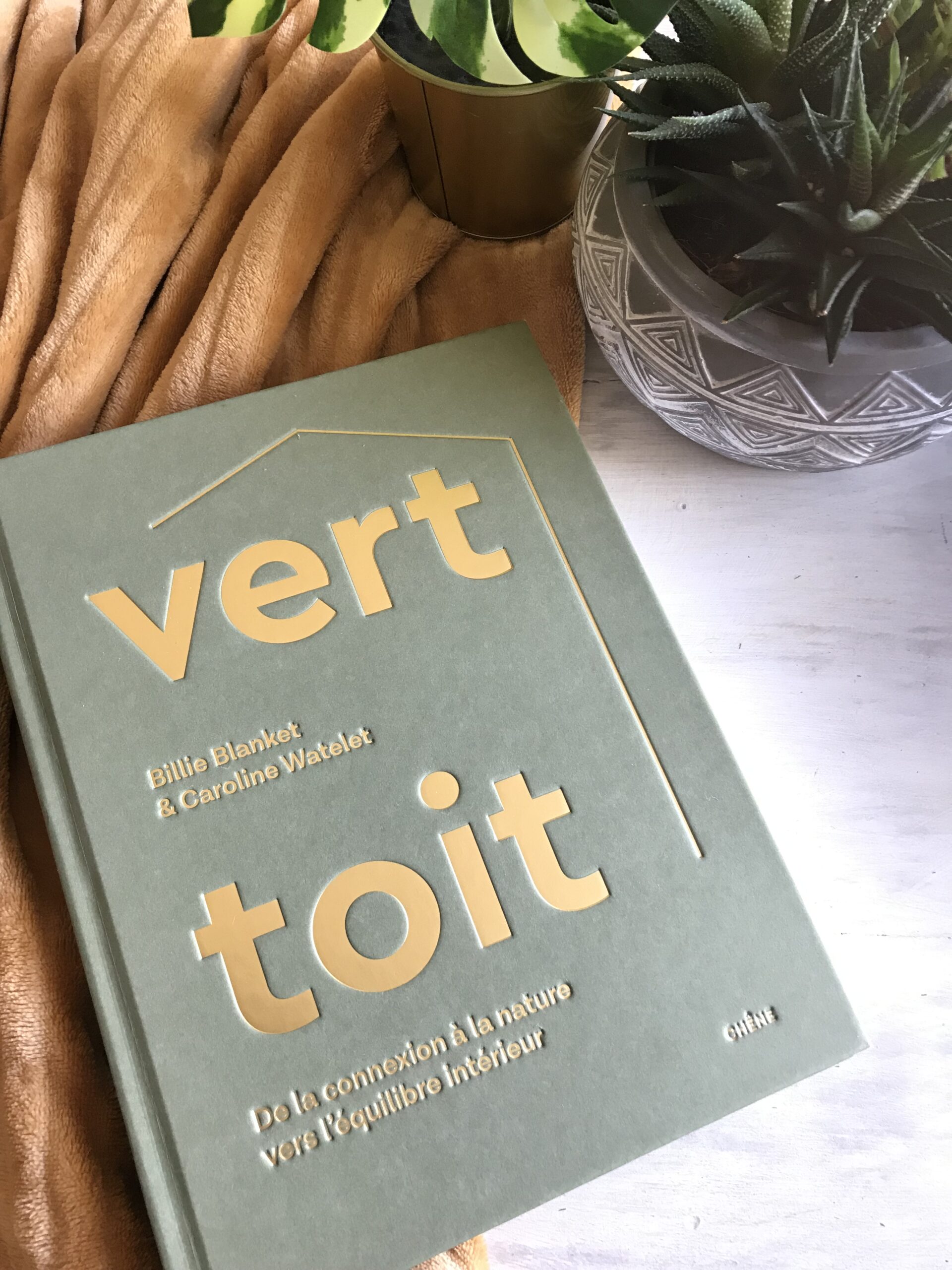 VERT TOIT : Comment créer du bien-être grâce à la décoration d’intérieur