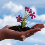 developpement personnel astrologie