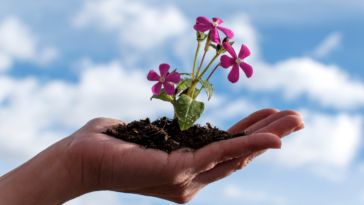 developpement personnel astrologie