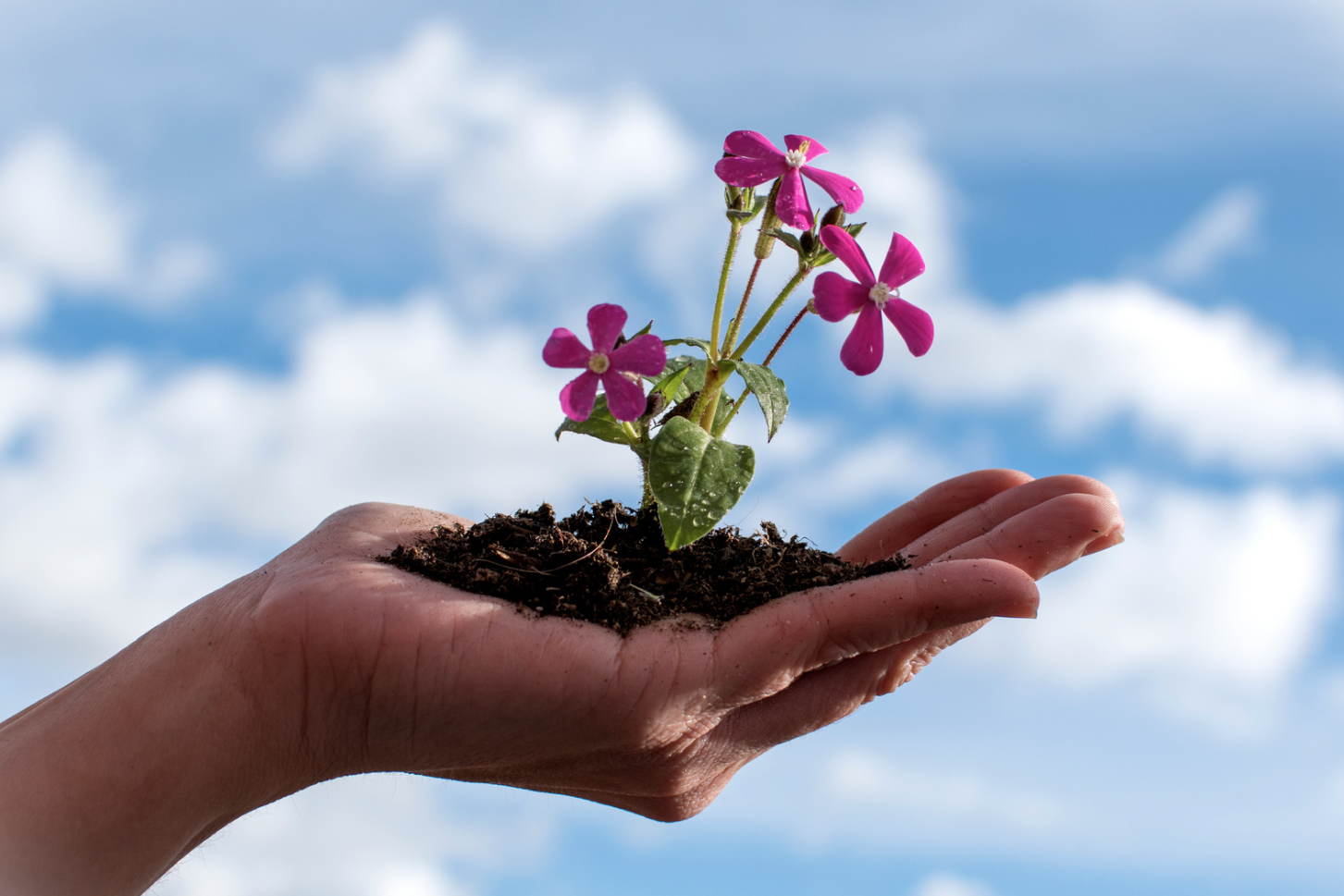 L’astrologie comme outil de développement personnel ?