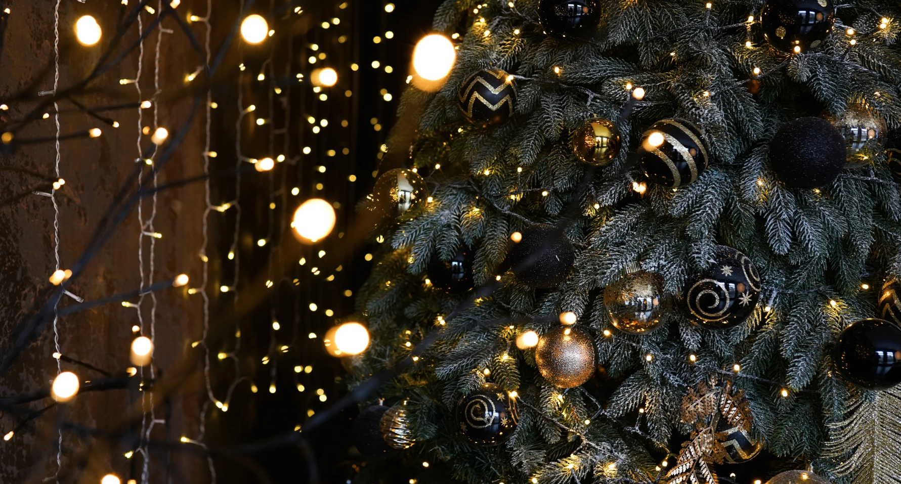 Sous le sapin : quel cadeau fera vibrer ton signe ?