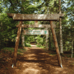 le-sylvatorium-mont-dore