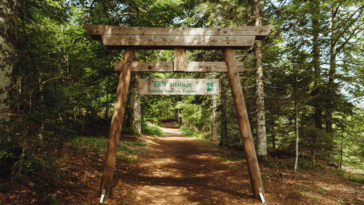 le-sylvatorium-mont-dore