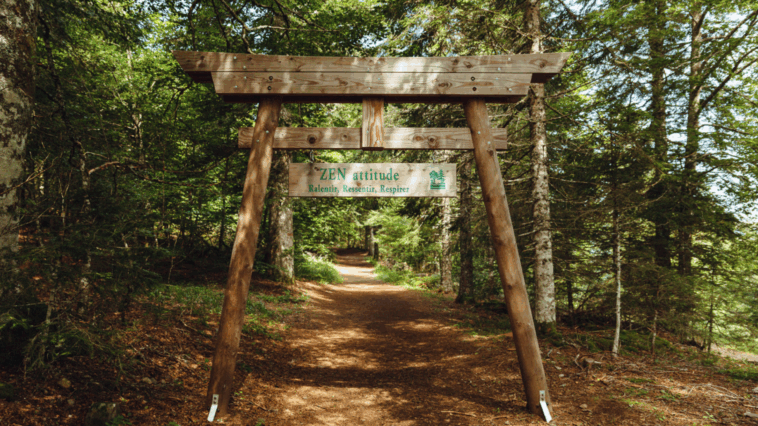 le-sylvatorium-mont-dore