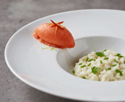 Plat de resistance, sorbet aux homards