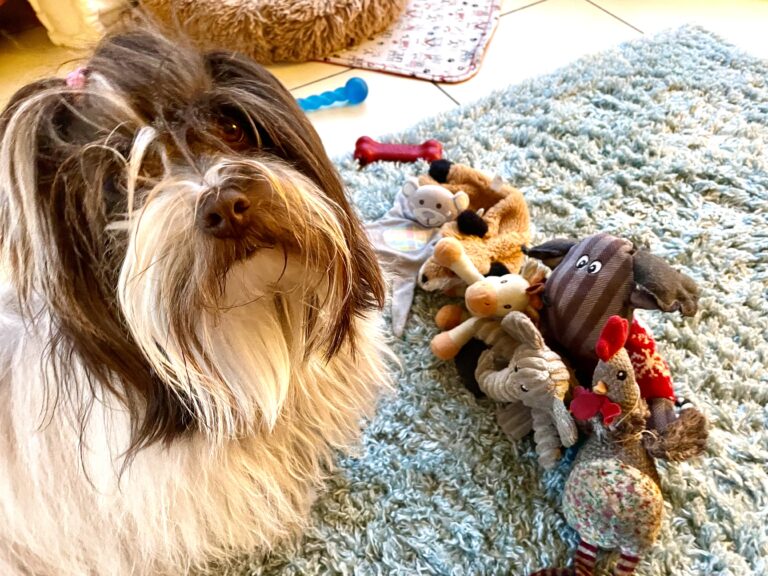 Pet parentalité Simone jouets