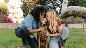 Pet parentalité couple avec chien