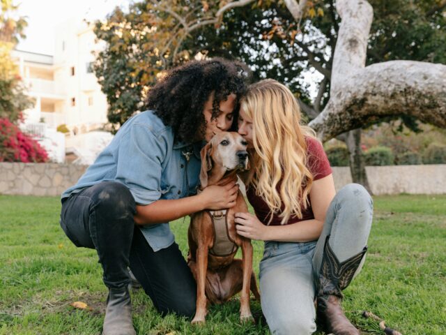 La « pet-parentalité » : quand nos animaux deviennent nos enfants