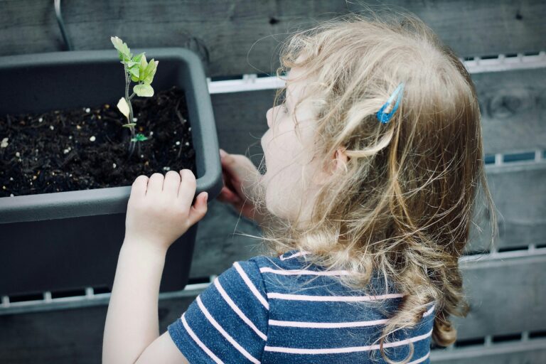 Emerveillement enfant plante
